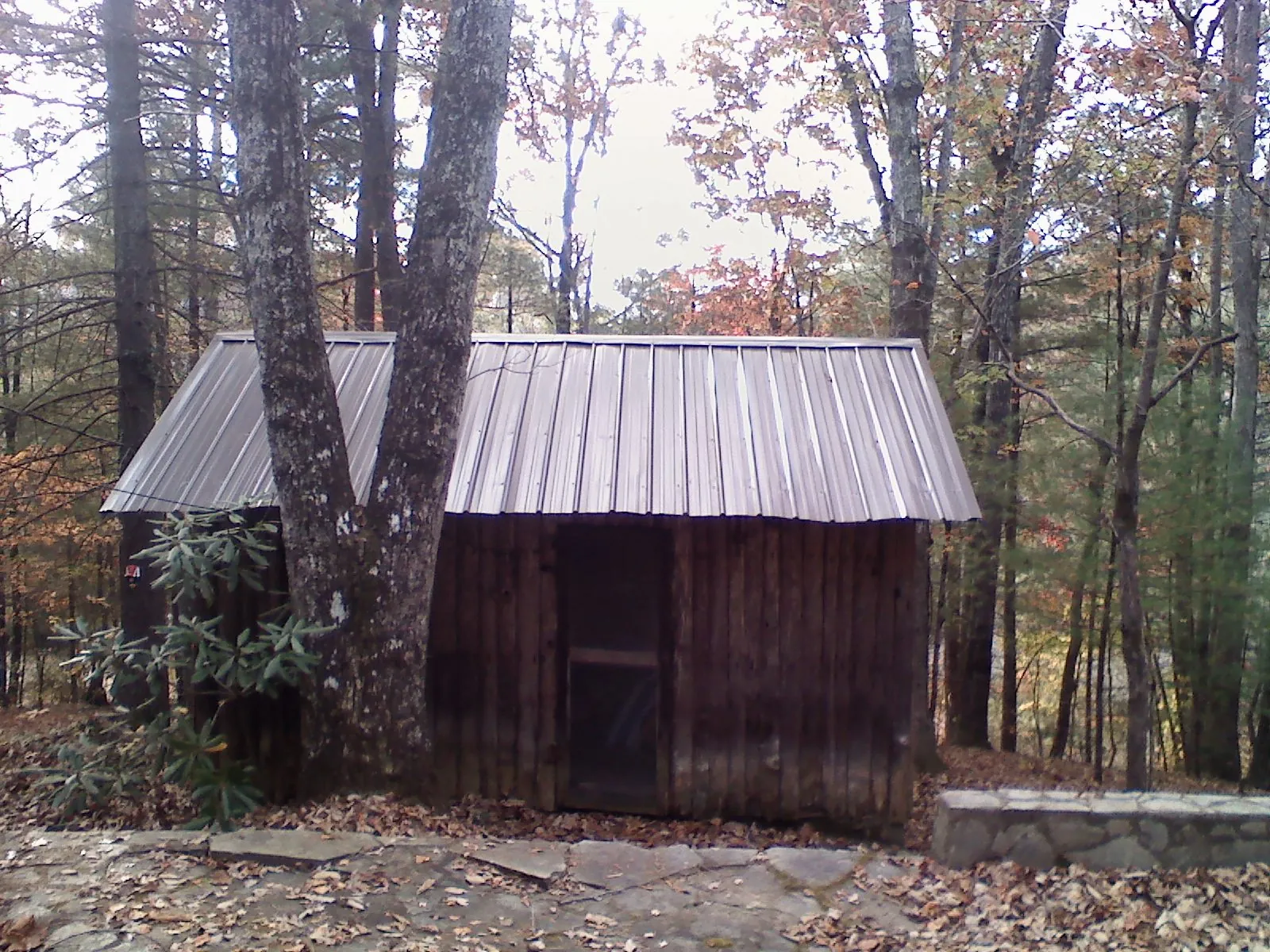 New metal gable roof on a small log shed among the trees in Newport Beach